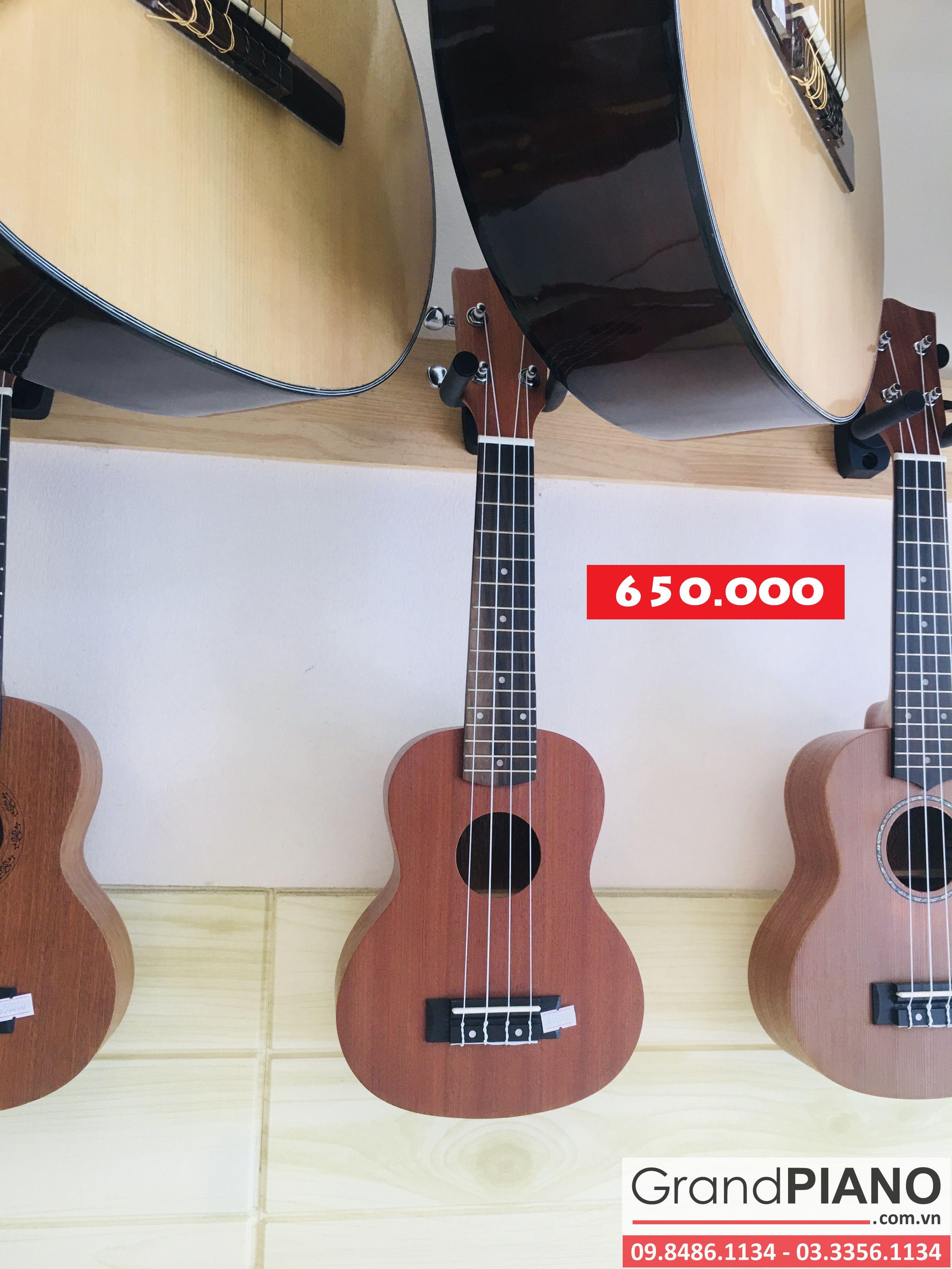 Đàn Ukulele size 21" - 5 - 650.000 